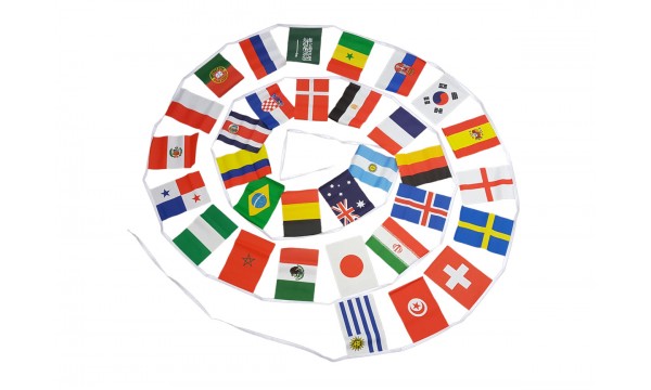 2022 World Cup Giant Bunting